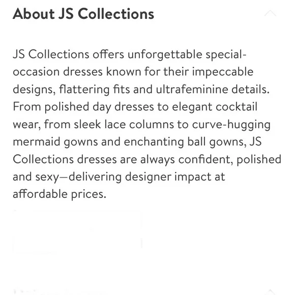 NWT JS Collection Scallop V Neck Embroidered Mesh Gown Size 16W - Picture 6 of 10